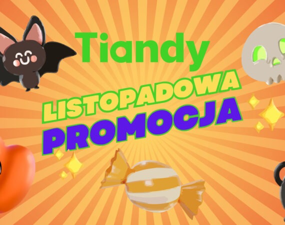 tiandy promocja listopad 2024 - baner