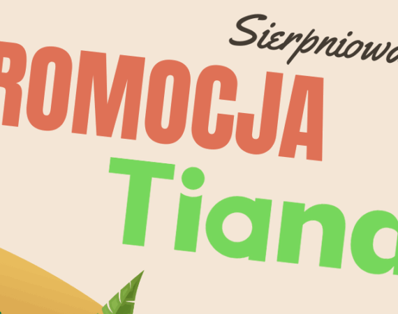 PROMOCJA CCTV od TIANDY - sierpień 2025 » baner