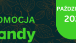 PROMOCJA CCTV od TIANDY - październik 2025 » banner 25.10 tiandy