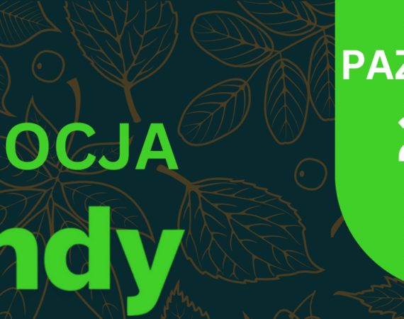 PROMOCJA CCTV od TIANDY - październik 2025 » banner 25.10 tiandy