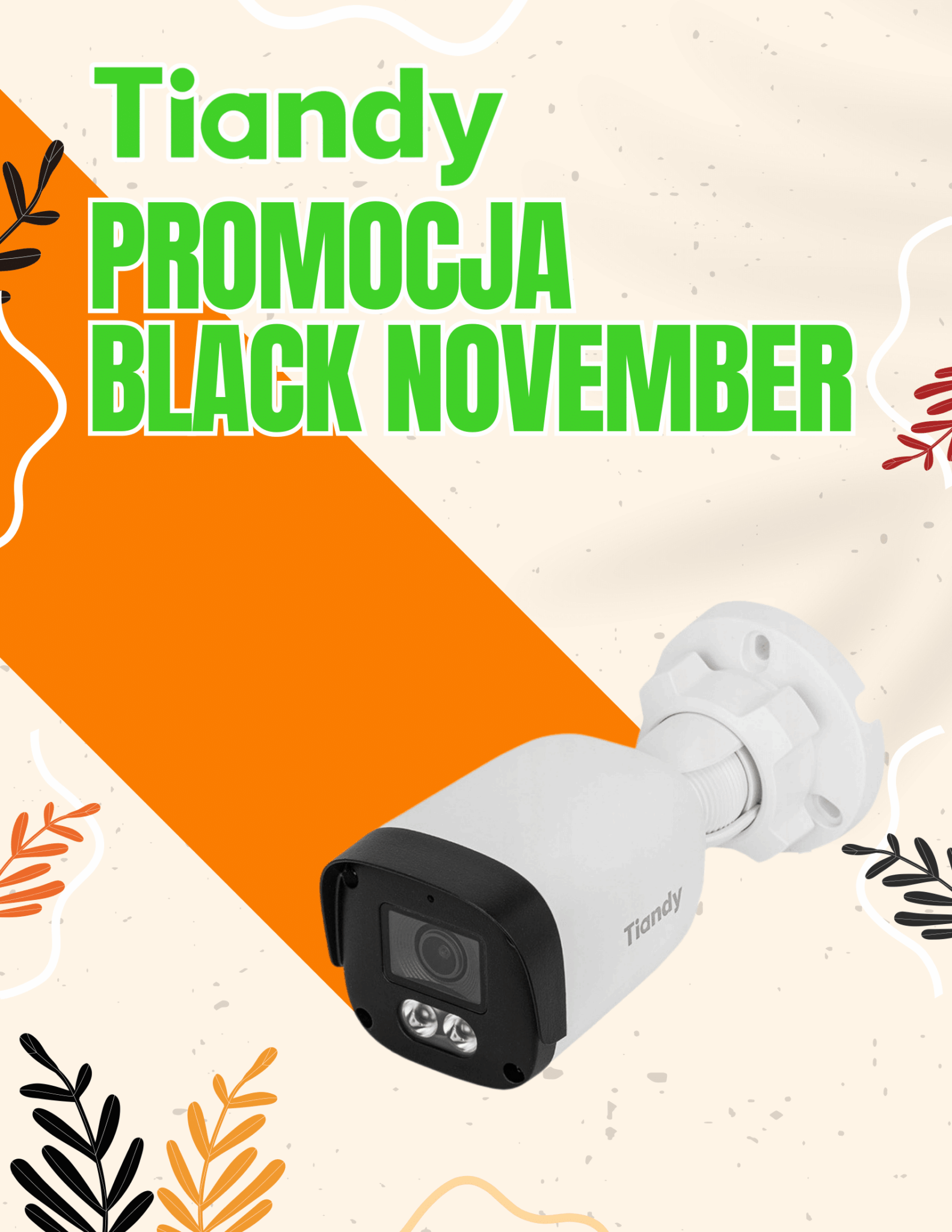 PROMOCJA CCTV od TIANDY - listopad 2025 » PROMOCJA TIANDY BLACK NOVEMBER bez cen 01