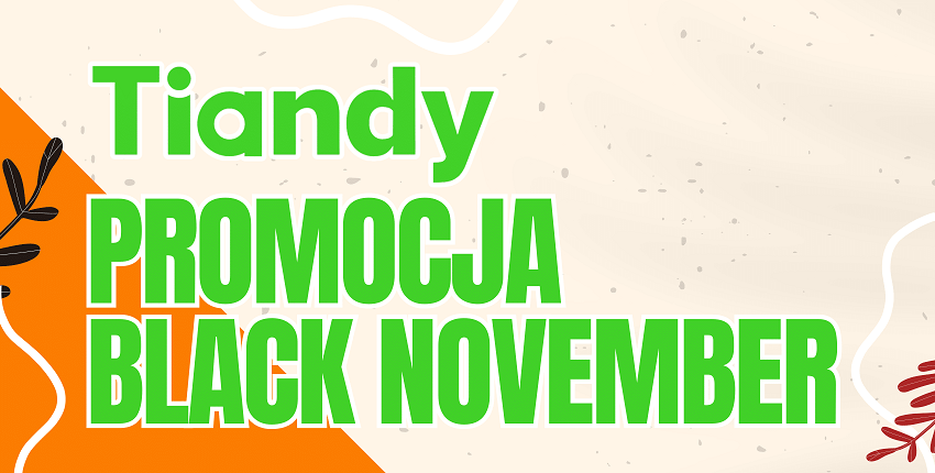 PROMOCJA CCTV od TIANDY - listopad 2025